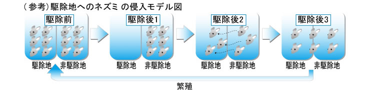 （参考）駆除地へのネズミの侵入モデル図