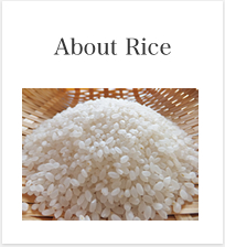 About Rice
