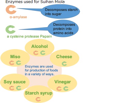 炊飯ミオラに使用している酵素