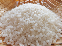 About Rice