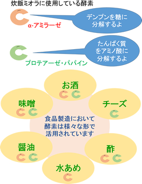 『酵素』を主成分とした炊飯改良剤