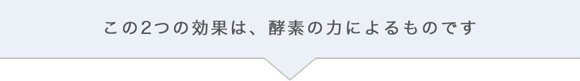 この2つの効果は、酵素の力によるものです