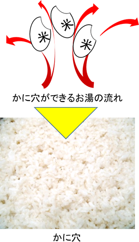 酵素がお米の外側に働いて、粒同士がくっつきにくくなります。